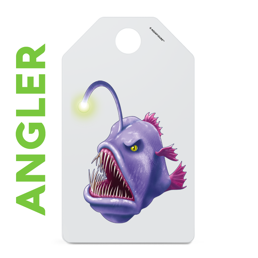 Creatures - Aquafigure Pouch including 4 bottle cards