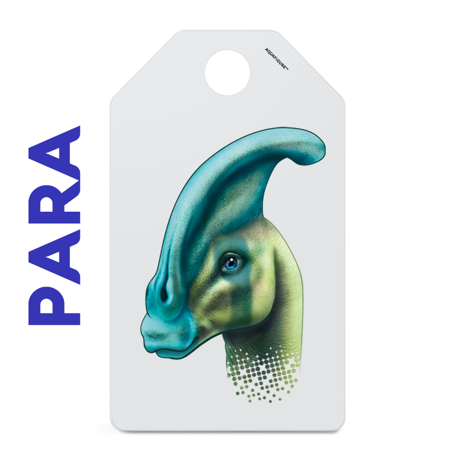 Dinos - Aquafigure Pouch including 4 bottle cards