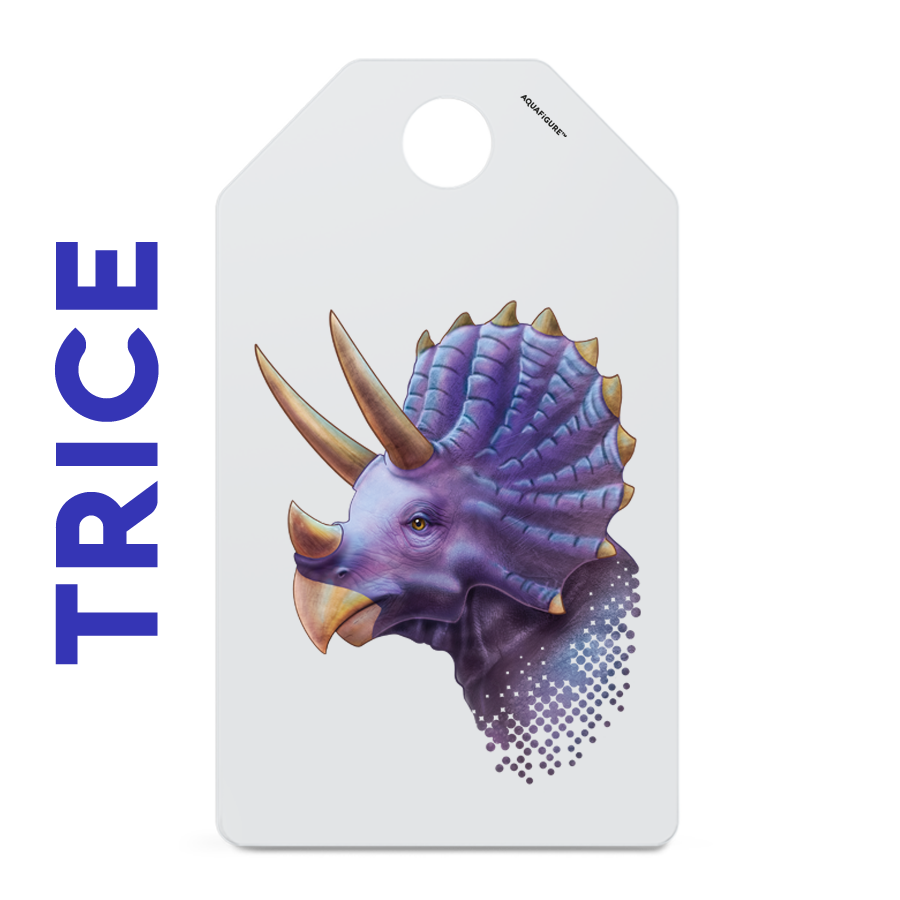 Dinos - Aquafigure Pouch including 4 bottle cards