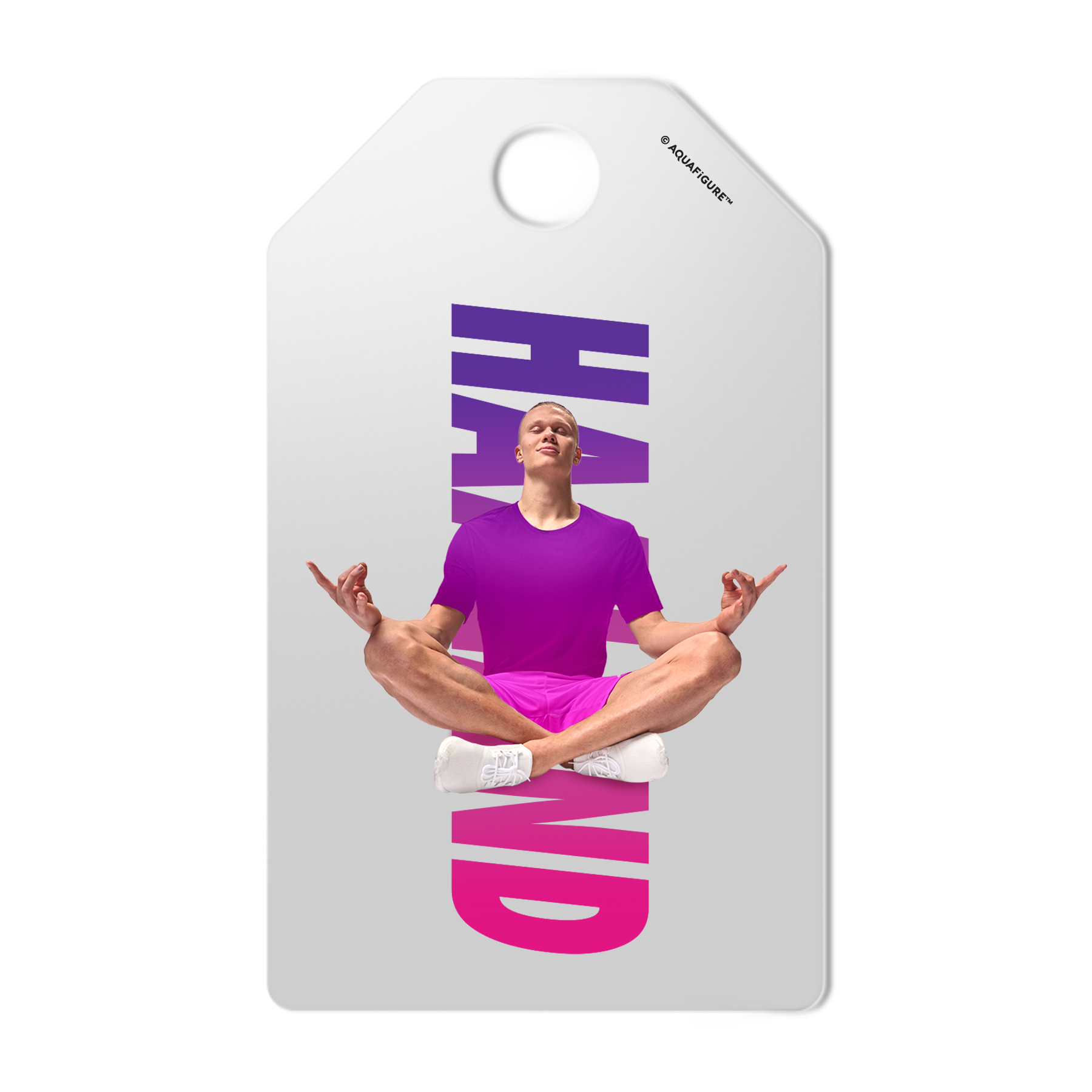 Erling Haaland - Aquafigure Bottle including 4 Haaland cards